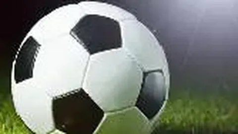 开云（体育）APP下载网址 资讯 141515 dau