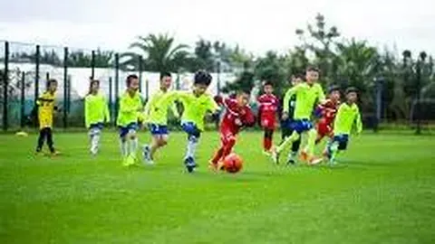 开云（体育）APP下载网址 资讯 141451 phq