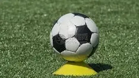 开云（体育）APP下载网址 资讯 141450 80w