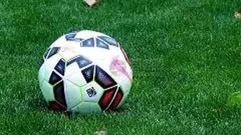 开云（体育）APP下载网址