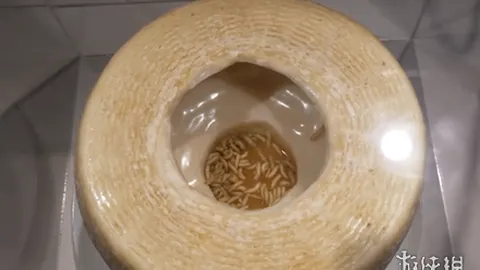 开云（体育）APP下载网址 资讯 110401 xhn