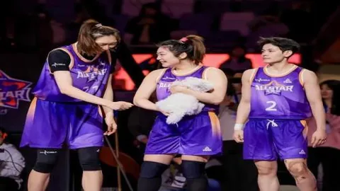 大乐透期号专家质合分析：前区十码预测